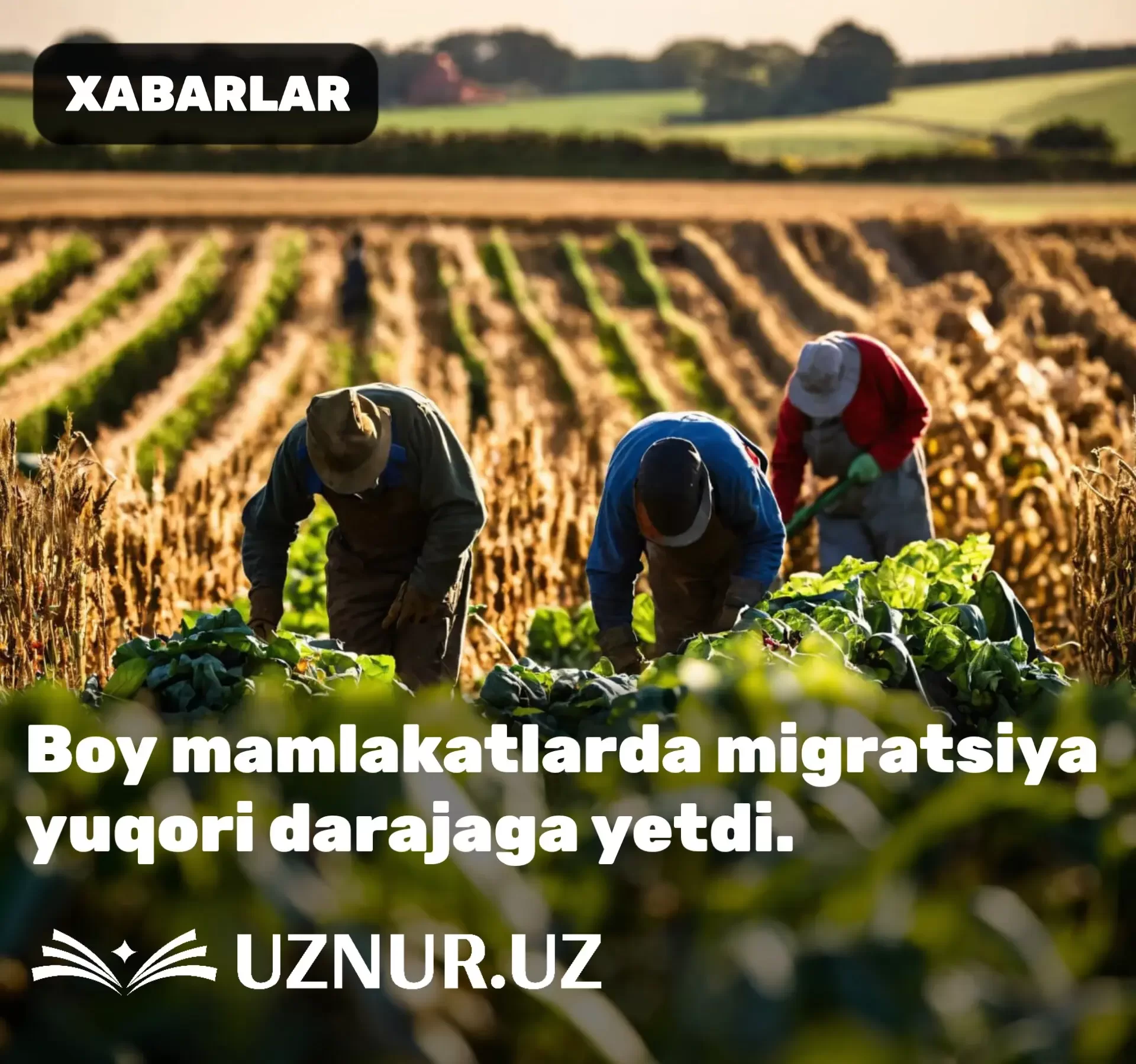 Boy mamlakatlarda migratsiya yuqori darajaga yetdi