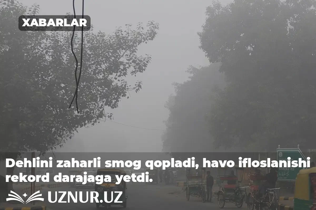 Dehlini zaharli smog qopladi, havo ifloslanishi rekord darajaga yetdi