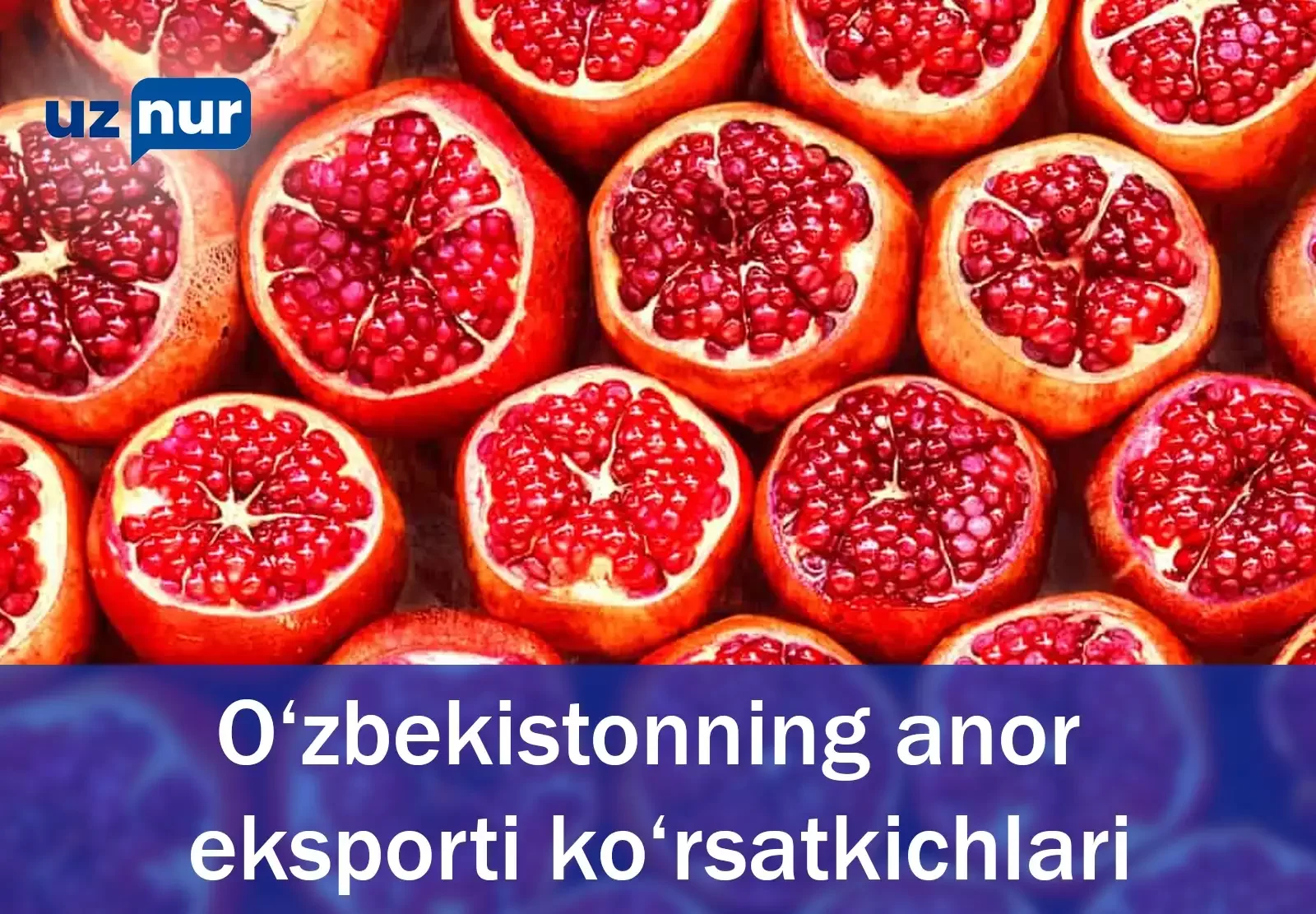 O‘zbekistonning anor eksporti ko‘rsatkichlari