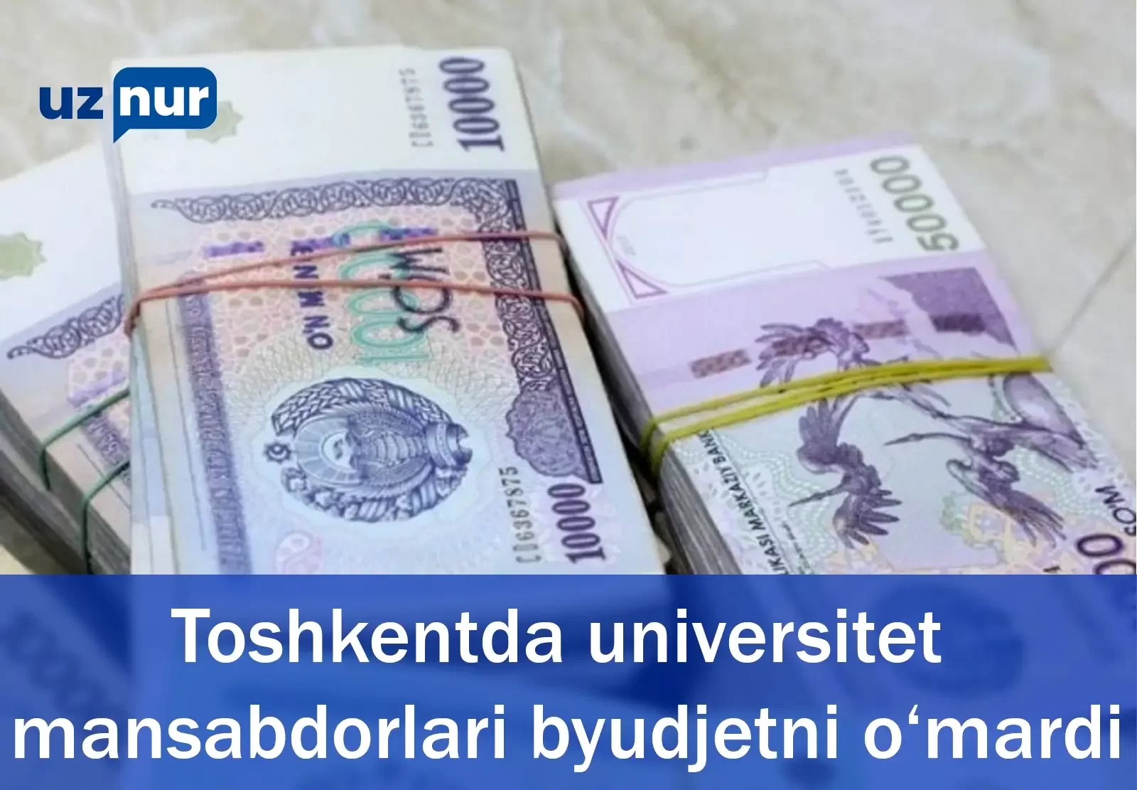 Toshkentda universitet mansabdorlari byudjetni o‘mardi