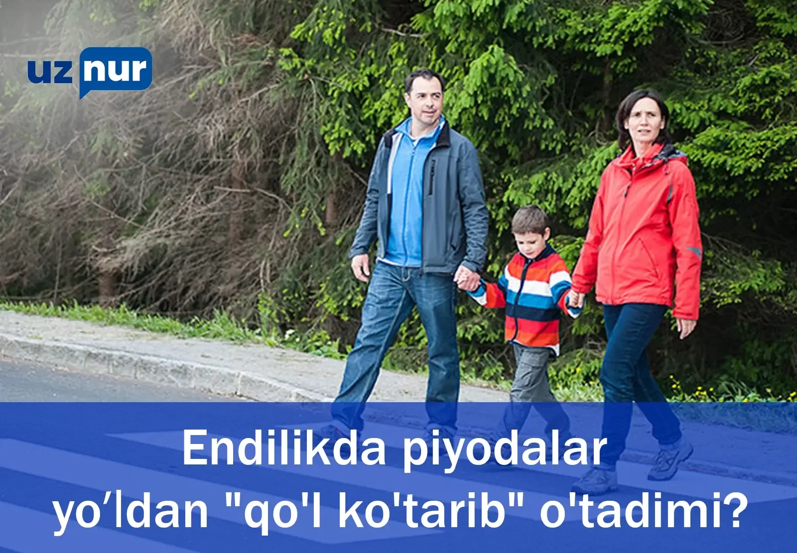 Endilikda piyodalar yoʻldan "qo'l ko'tarib" o'tadimi?