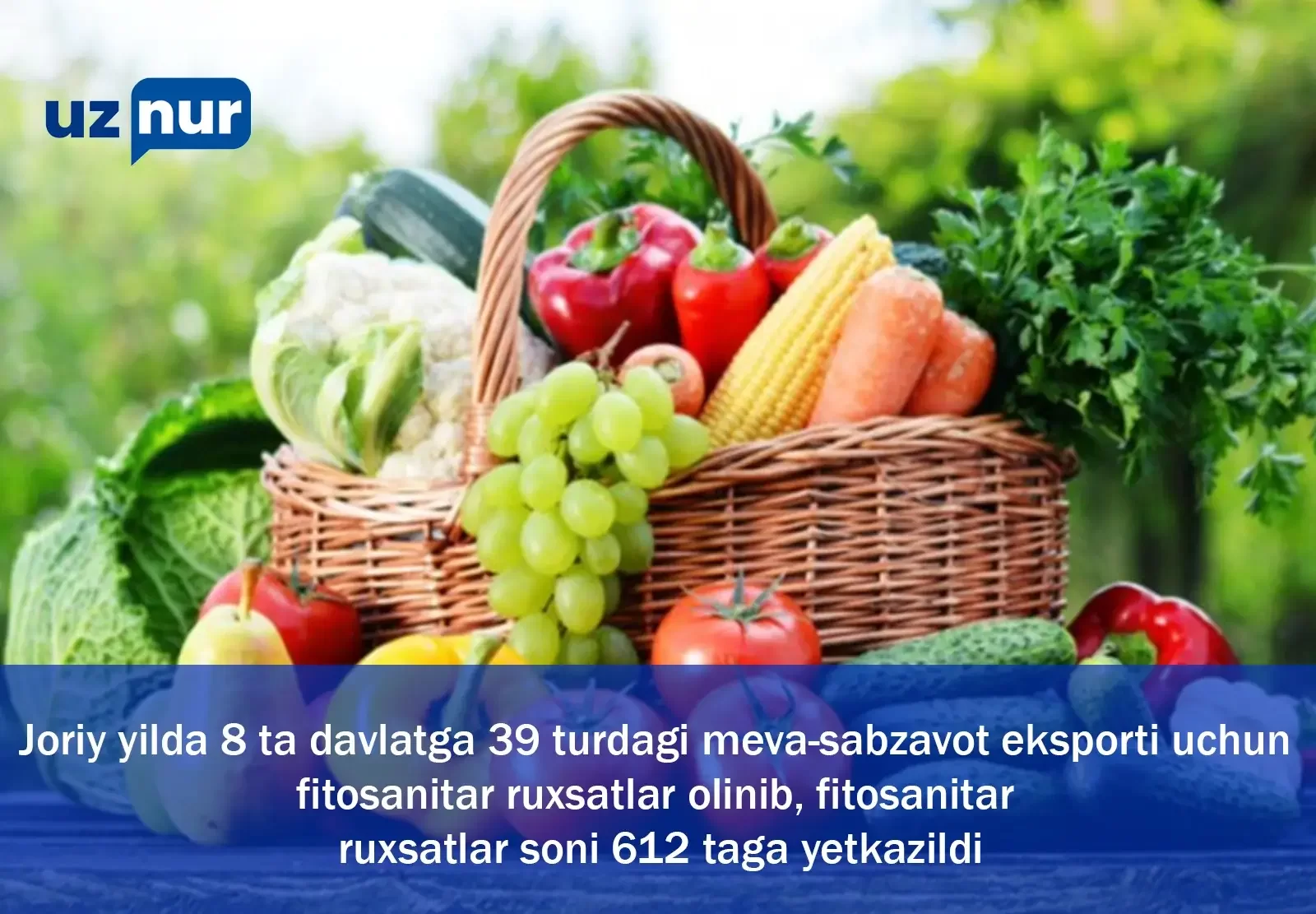 Joriy yilda 8 ta davlatga 39 turdagi meva-sabzavot eksporti uchun fitosanitar ruxsatlar olinib, fitosanitar ruxsatlar soni 612 taga yetkazildi