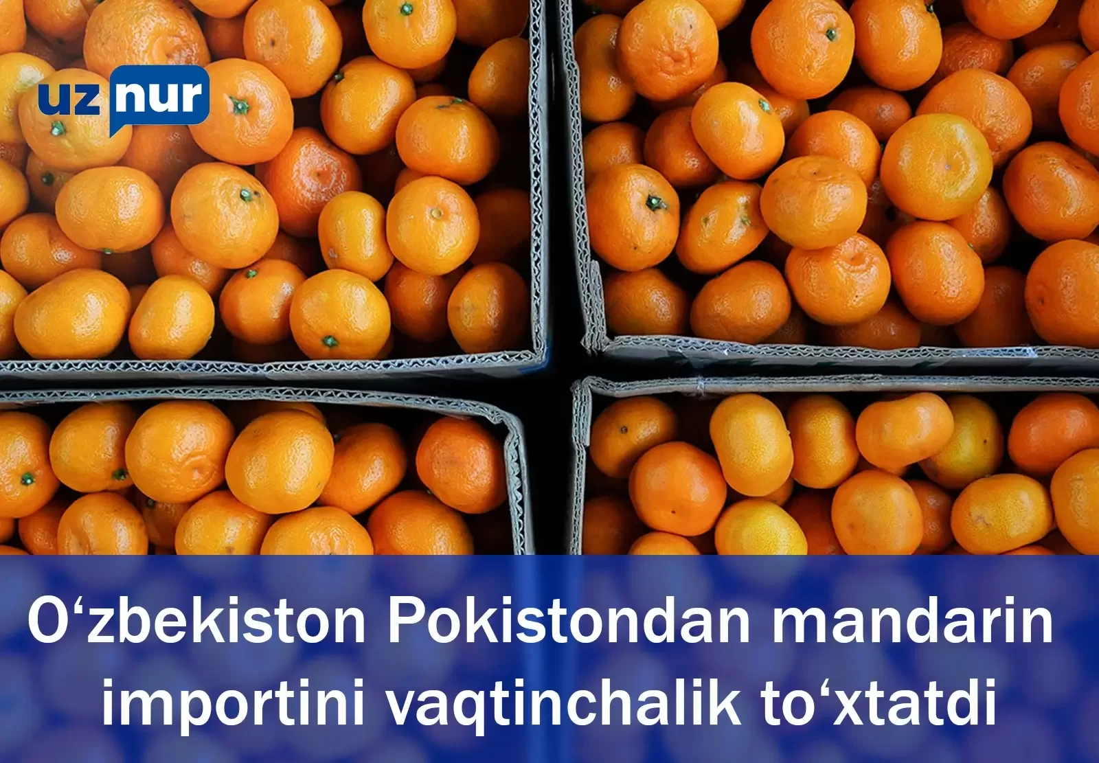 O‘zbekiston Pokistondan mandarin importini vaqtinchalik to‘xtatdi