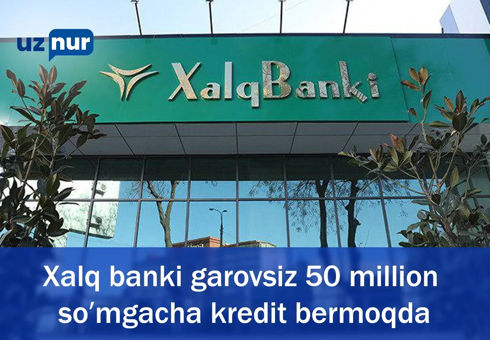 Xalq banki garovsiz 50 million so‘mgacha kredit bermoqda UzNur.uz