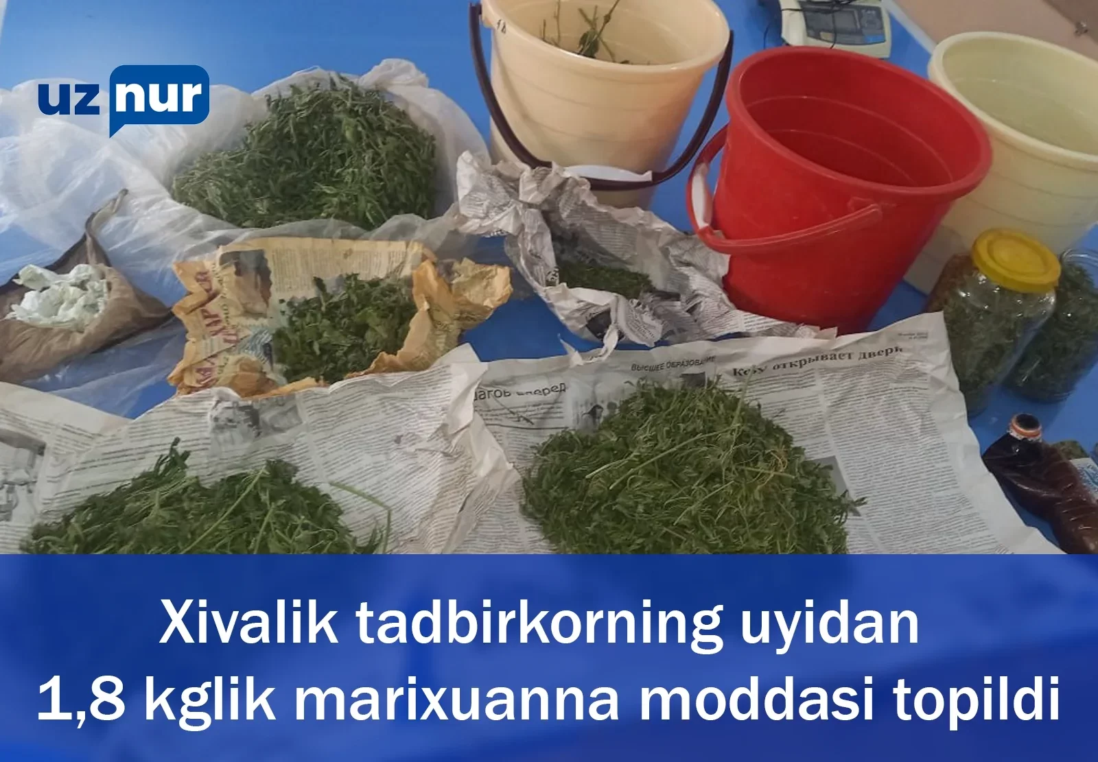 Xivalik tadbirkorning uyidan 1,8 kglik marixuanna moddasi topildi