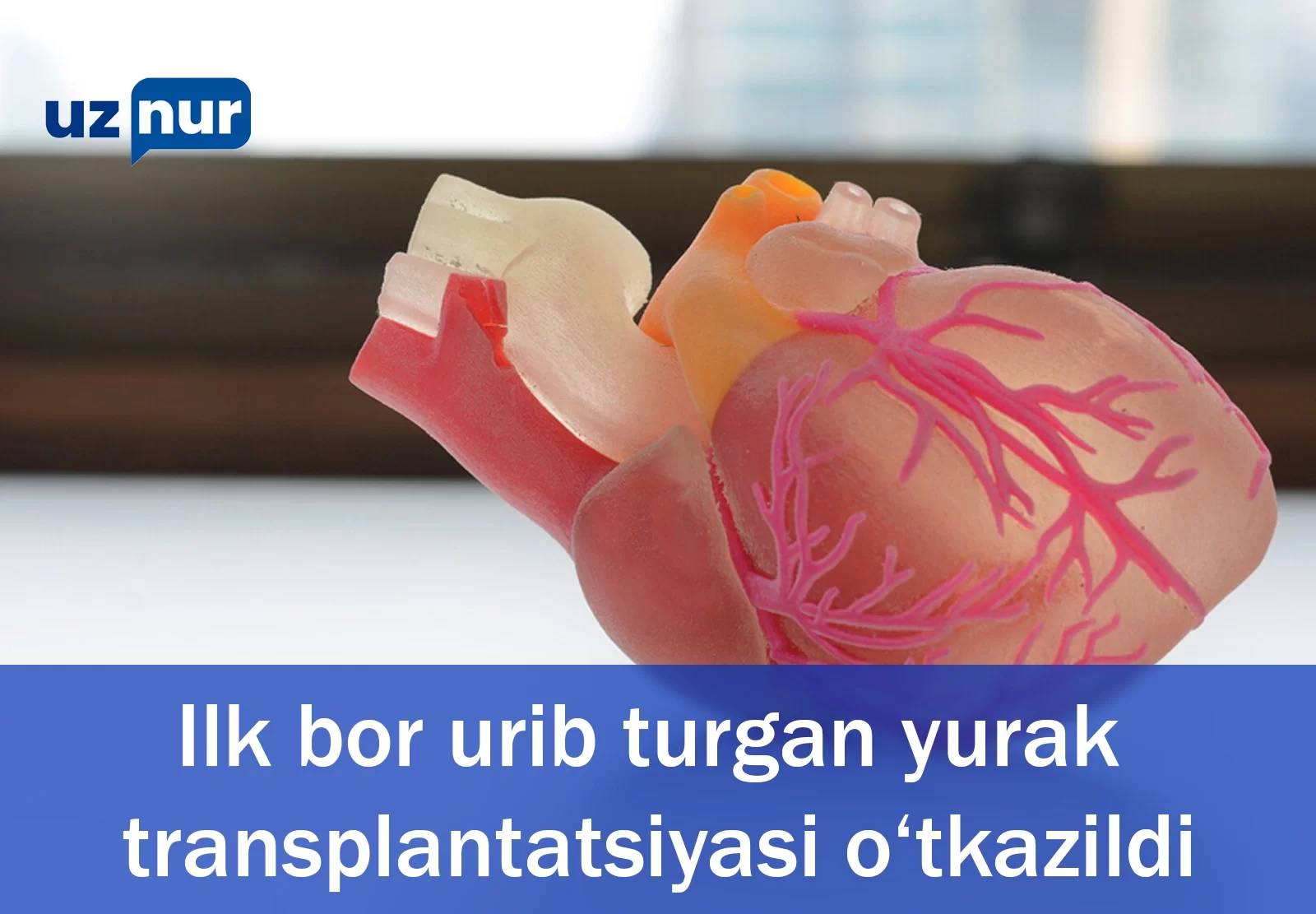 Ilk bor urib turgan yurak transplantatsiyasi o‘tkazildi