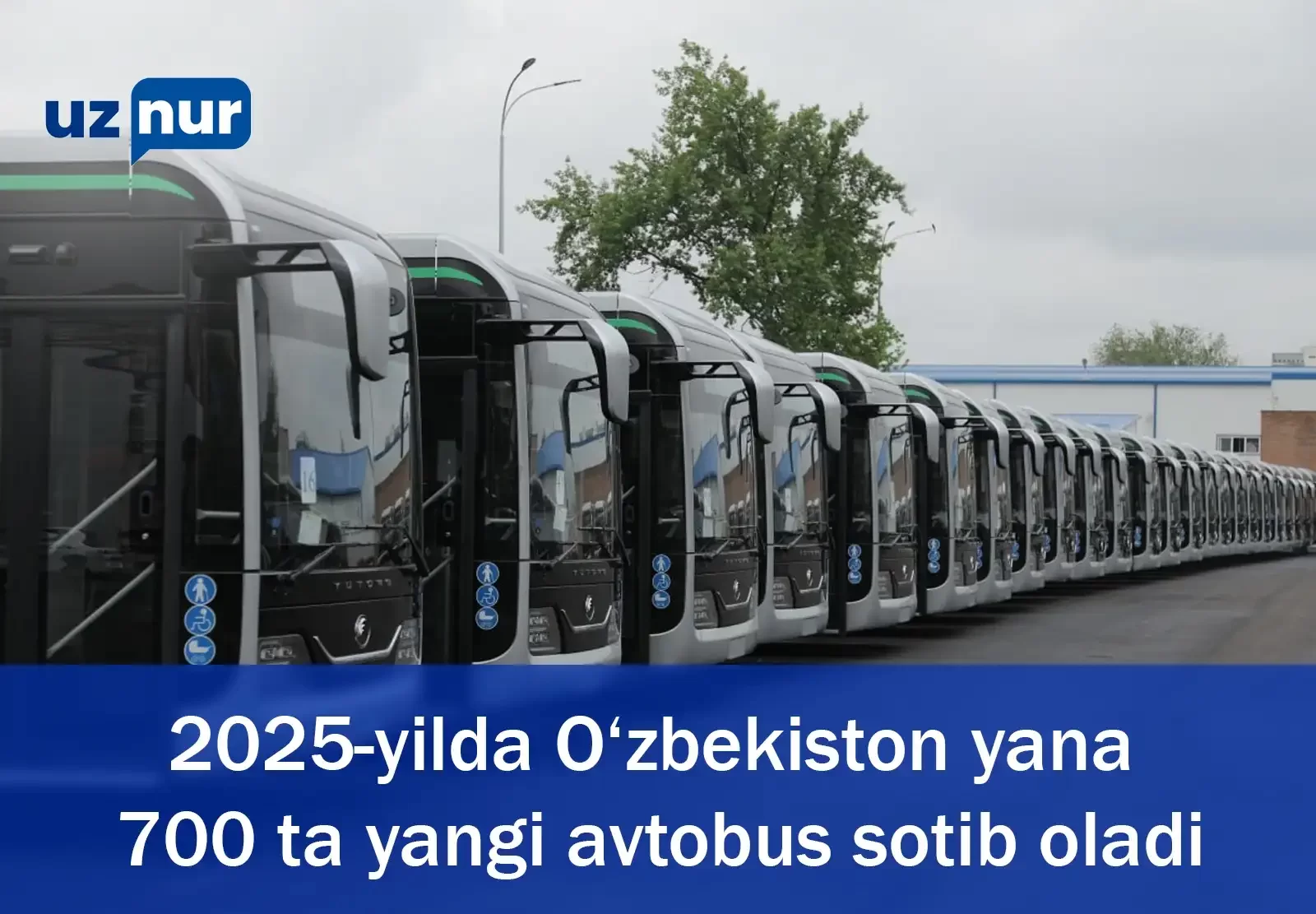 2025-yilda O‘zbekiston yana 700 ta yangi avtobus sotib oladi