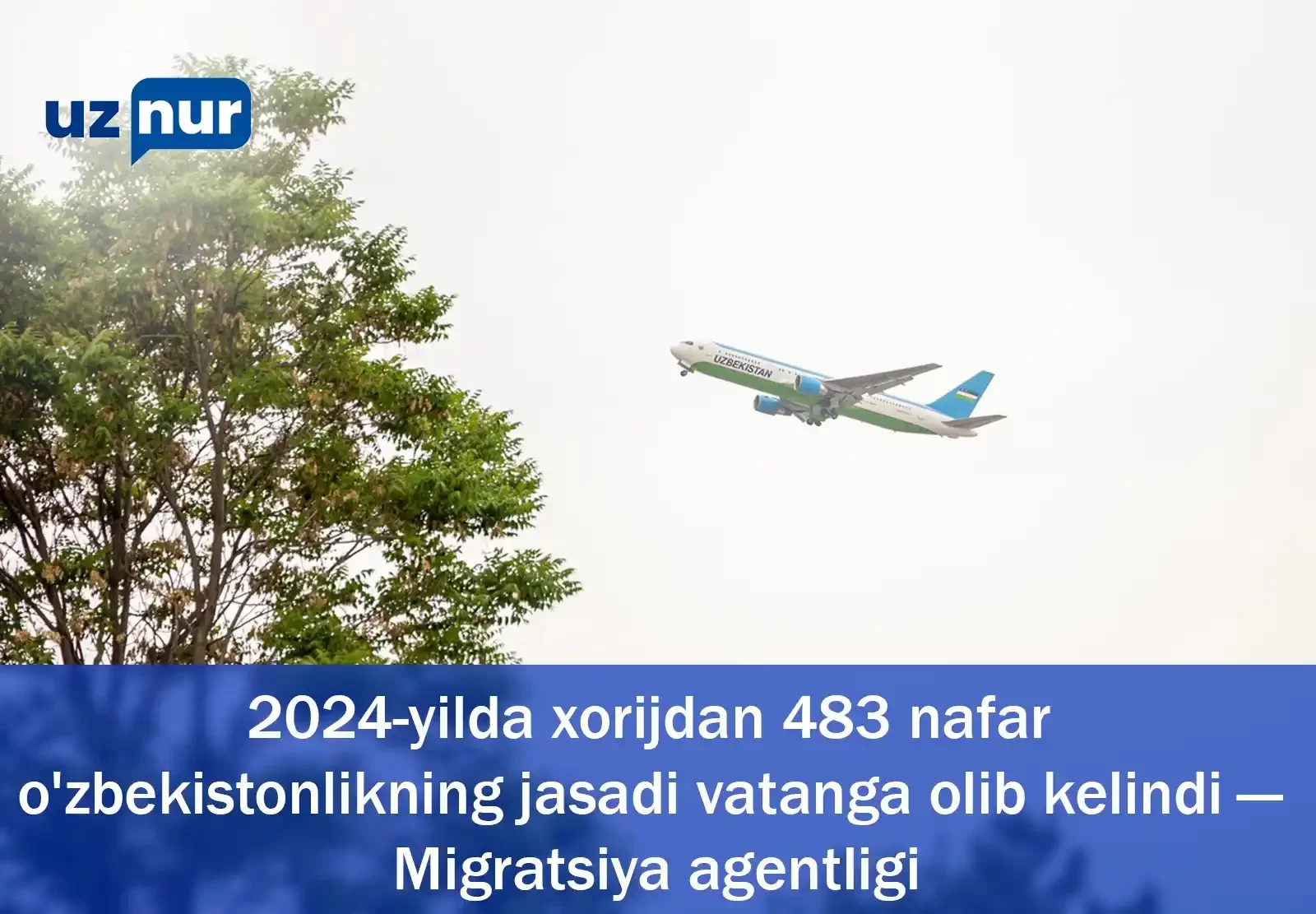 2024-yilda xorijdan 483 nafar o'zbekistonlikning jasadi vatanga olib kelindi — Migratsiya agentligi