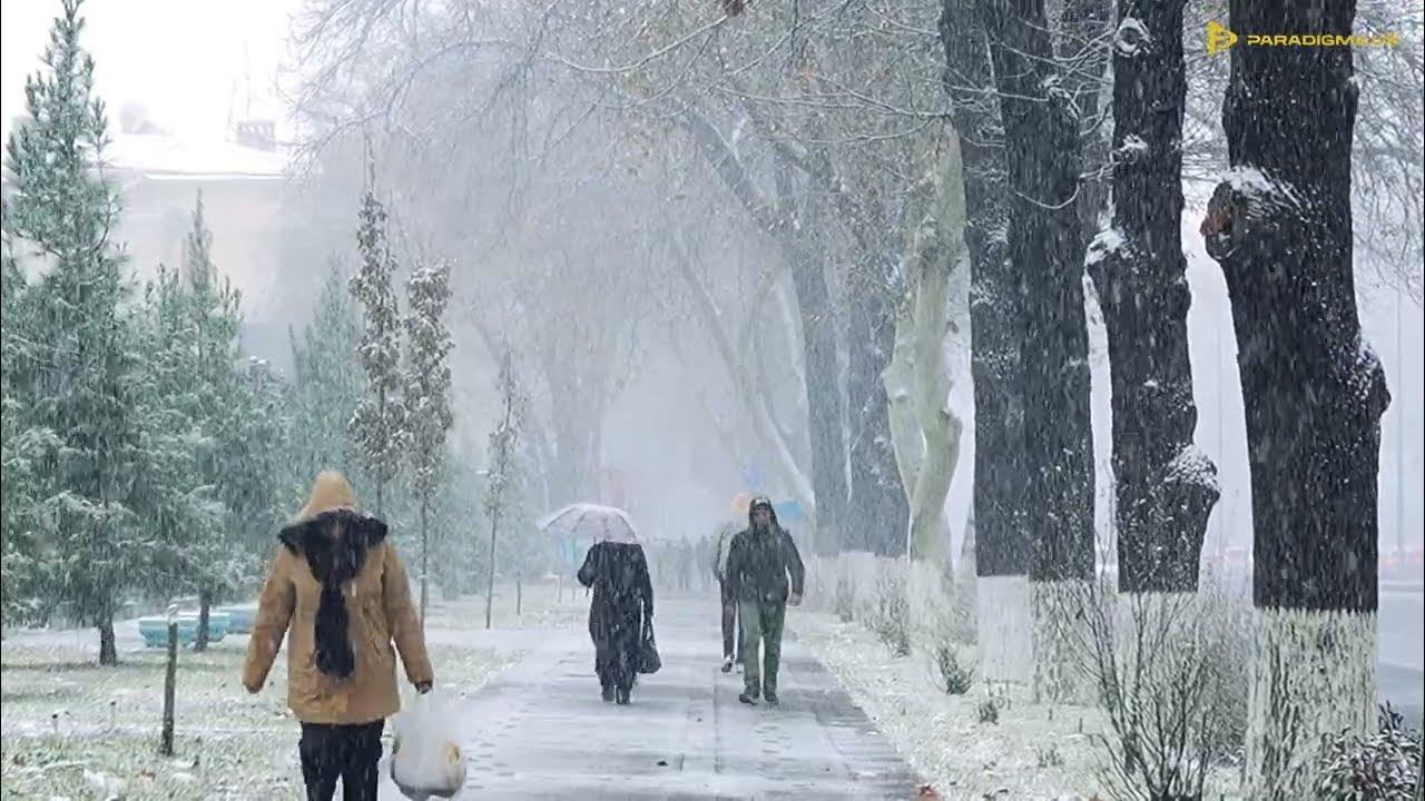 O‘zbekistonda yangi oydan nimalar o‘zgaradi?