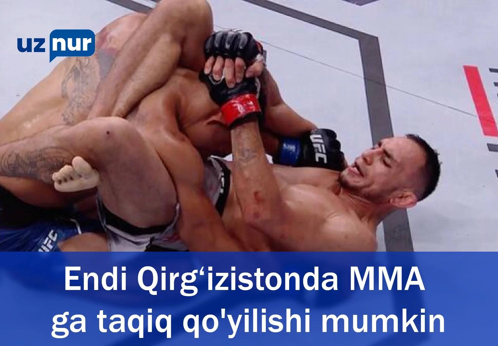 Endi Qirg‘izistonda MMA ga taqiq qo'yilishi mumkin