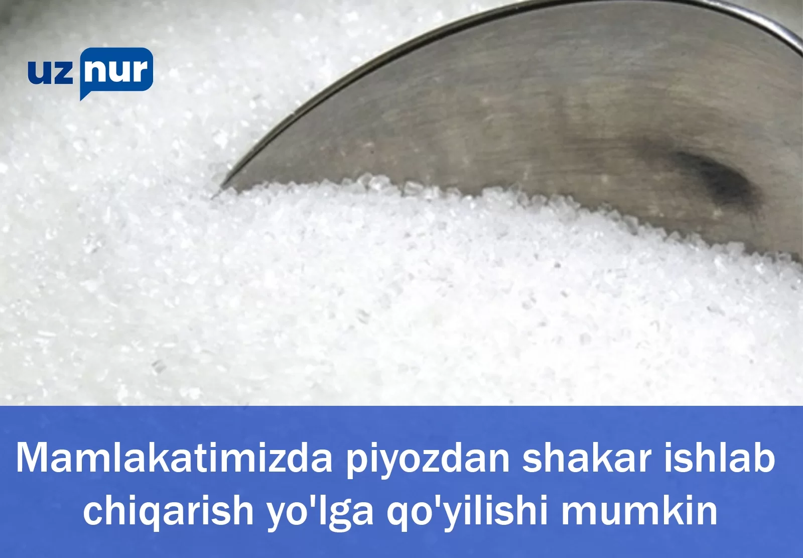 Mamlakatimizda piyozdan shakar ishlab chiqarish yo'lga qo'yilishi mumkin