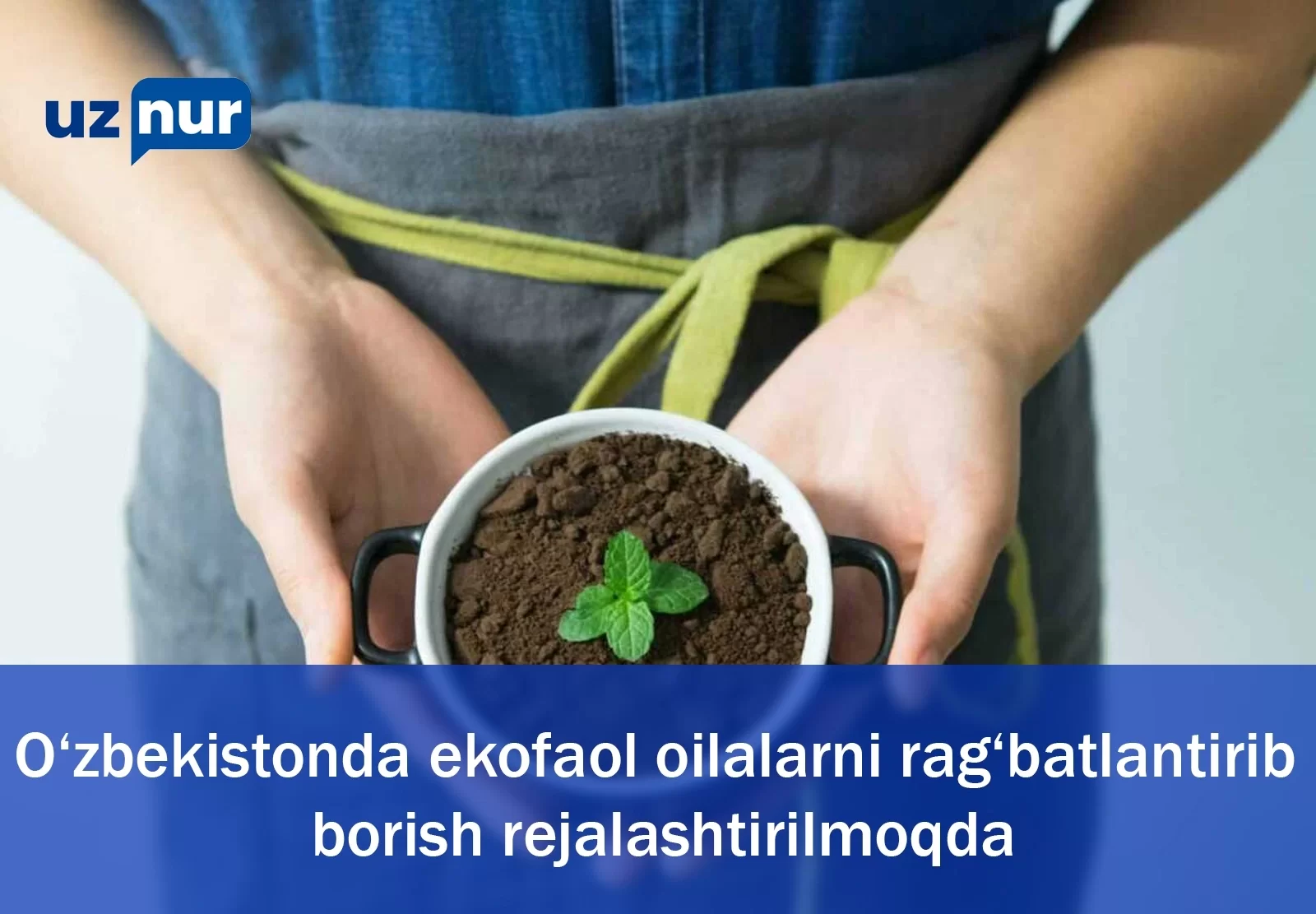 O‘zbekistonda ekofaol oilalarni rag‘batlantirib borish rejalashtirilmoqda