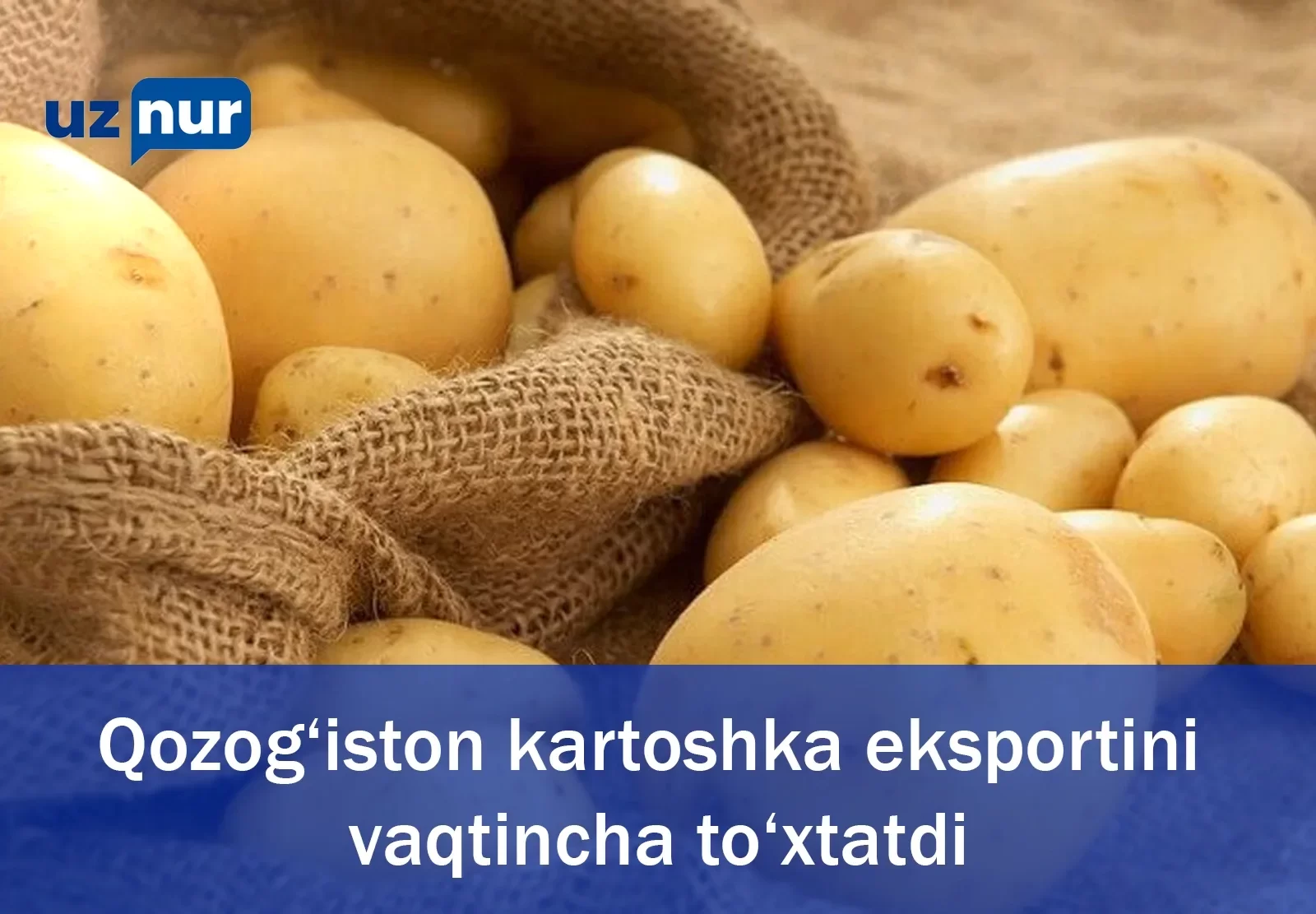 Qozog‘iston kartoshka eksportini vaqtincha to‘xtatdi