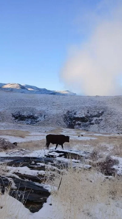 Navoiy viloyatida kuchli qor yog`moqda, ayrim asosiy yo`llarda vaqtinchalik harakat to`xtatilgan  UzNur.uz