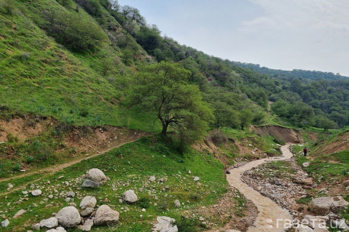 O‘zbekistonning to‘qqizta hududiga sel kelishi kutilmoqda