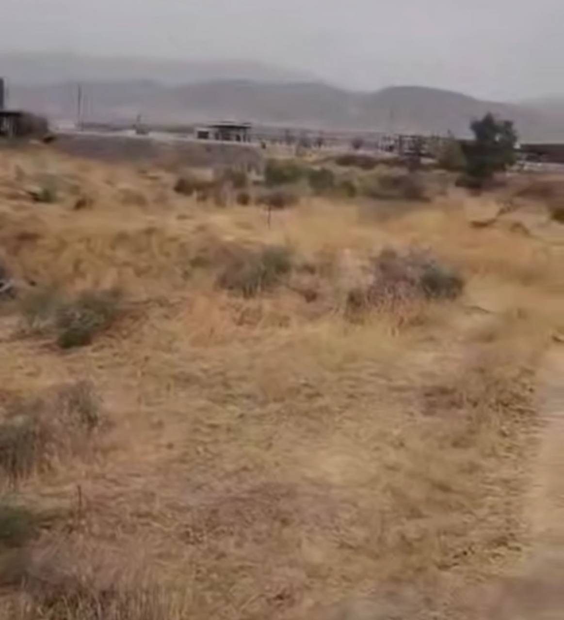 Nurobodda buzilgan 60 gektar bog‘ ortida nimalar bor?