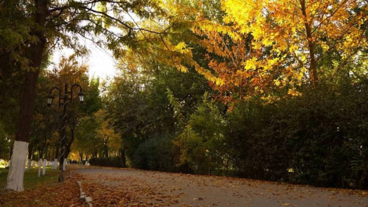 Ertaga qanday ob-havo bo‘ladi?