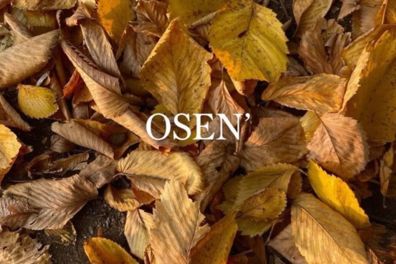 O'zbekistonda havo +22 darajagacha isiydi