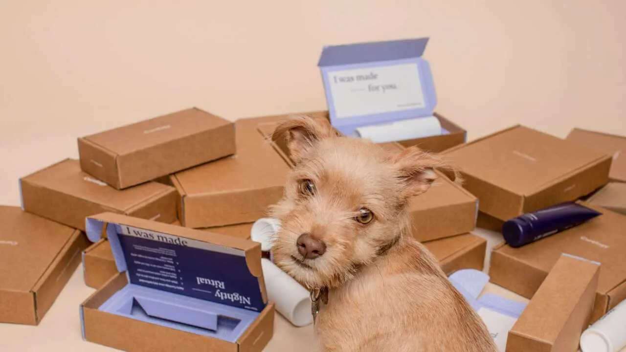 O‘zbekistondan Rossiyaga «kulrang import» yo‘li ochildi