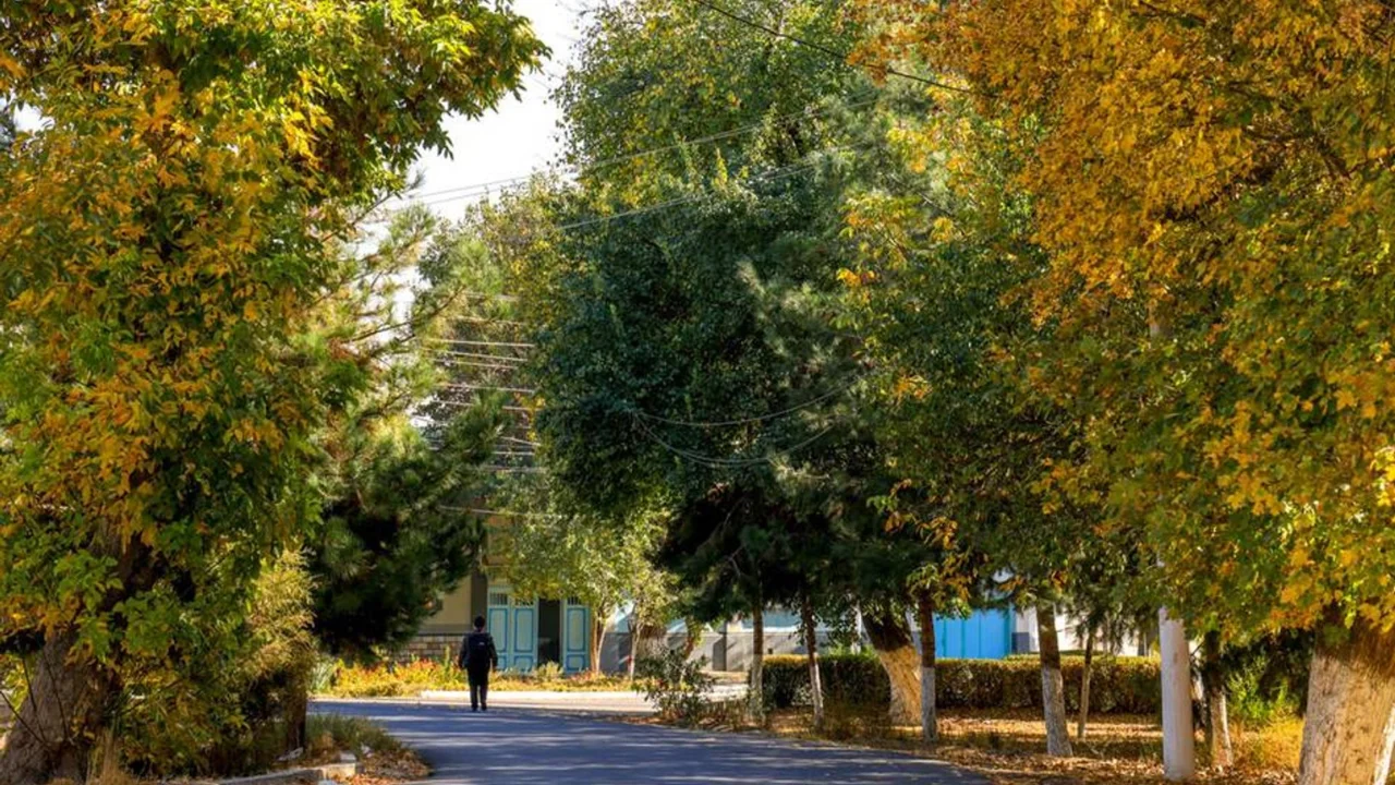 9-noyabr kuni ob-havo qanday bo‘ladi?