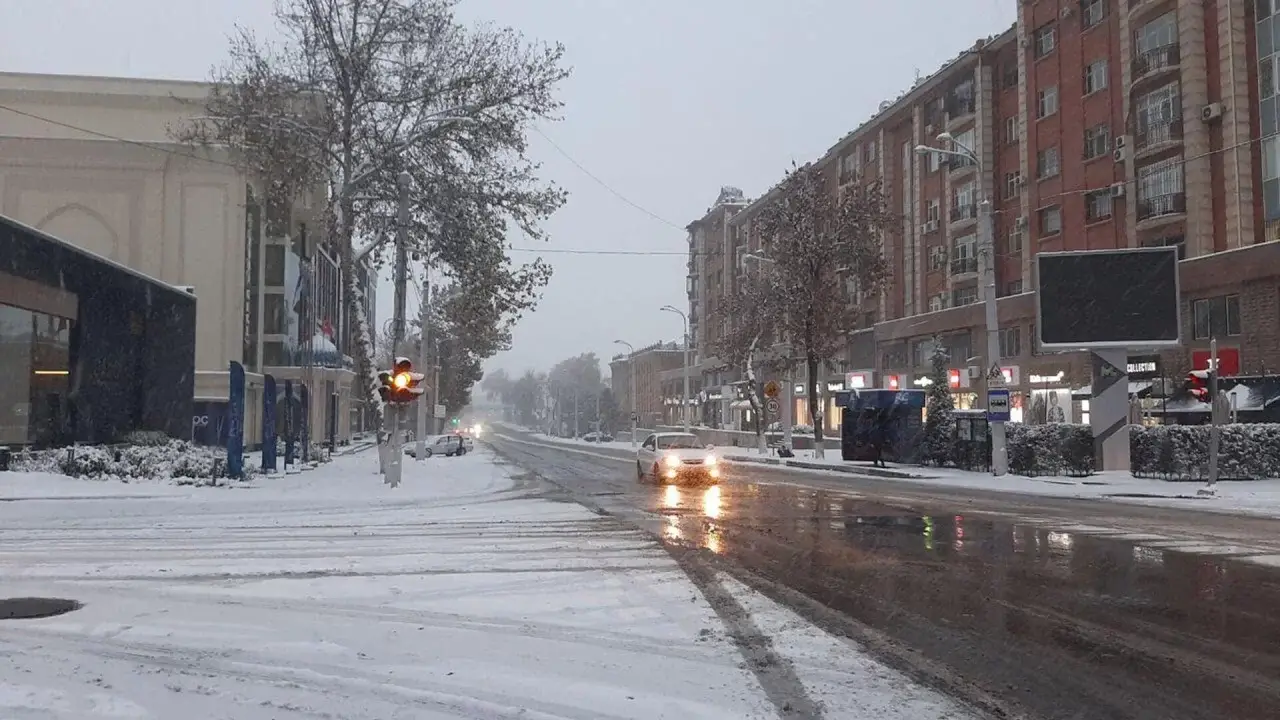 O'zbekistonda keskin sovuq va ilk qor