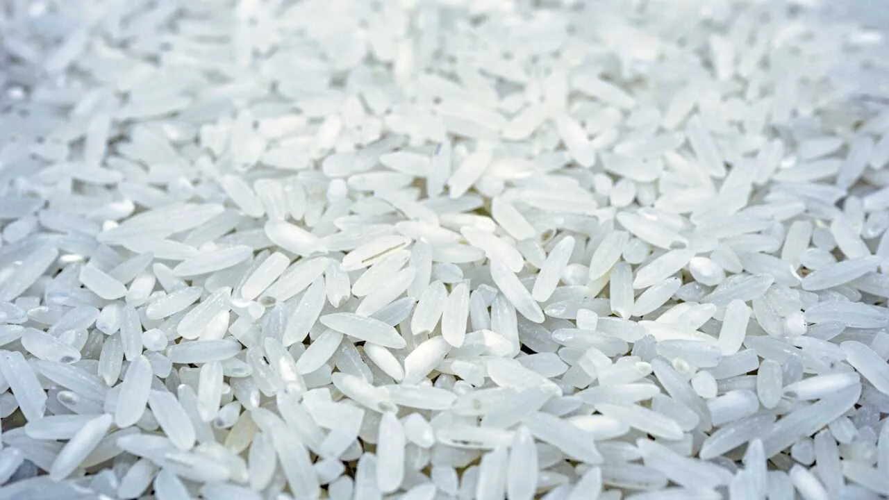 Qirg'iziston guruchi eksporti 8 barobar oshdi