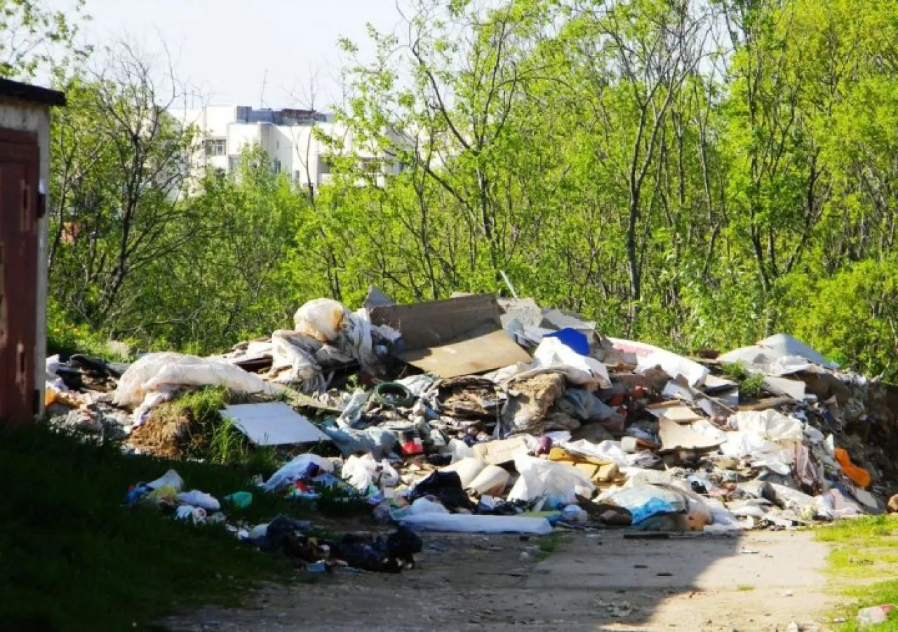 O'zbekistonda ekologik jinoyatlar ko'paymoqda