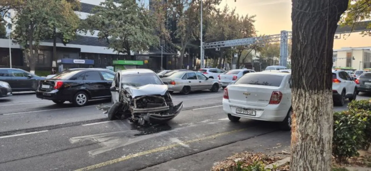 Toshkentda Spark daraxtga urildi