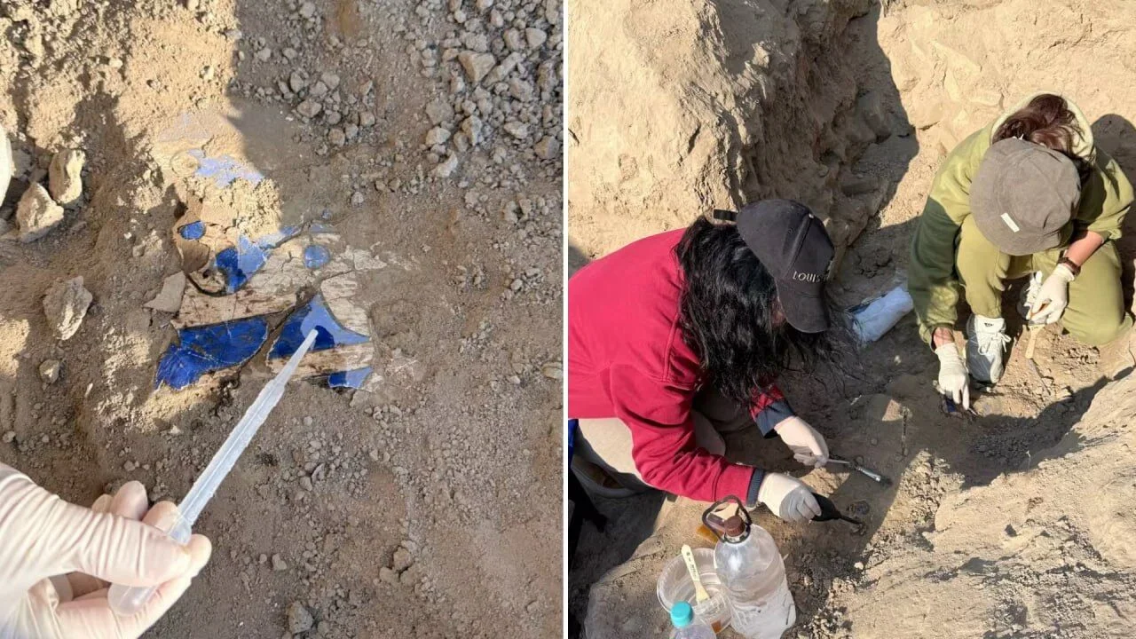 Toshkent viloyatida 10–11 asrlarga oid noyob devoriy suratlar topildi