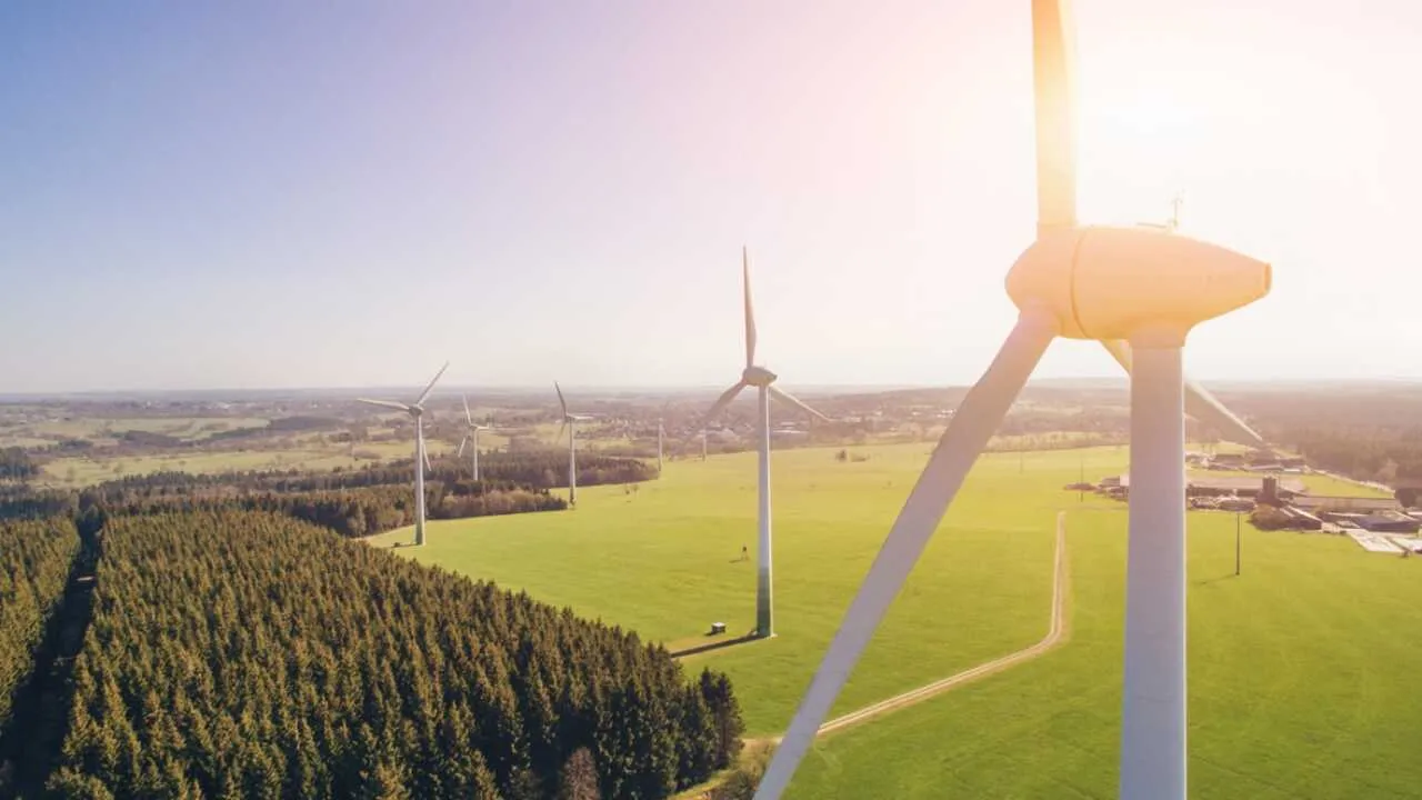 Deputatlar yashil iqtisodiyot bo‘yicha so‘rov yubordi