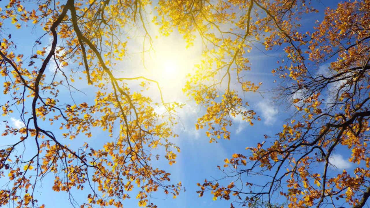 Ertaga O‘zbekistonda yog‘ingarchiliksiz iliq kun bo‘ladi