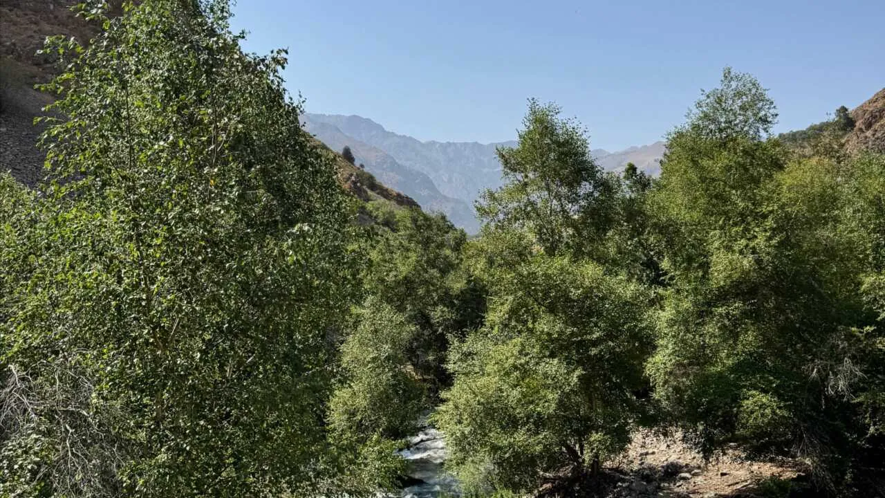 14-noyabr kuni havo harorati +22° gacha isiydi