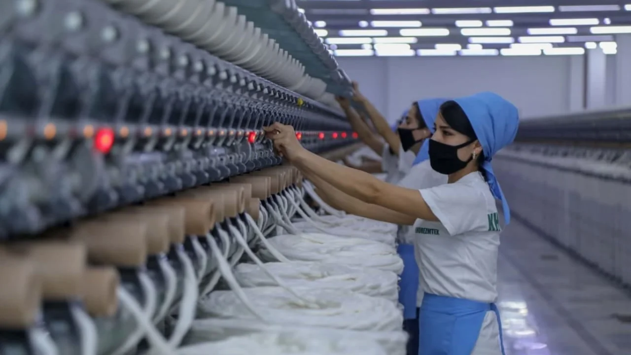 O‘zbekistonda MCHJlar ulushi 78 foizdan oshdi