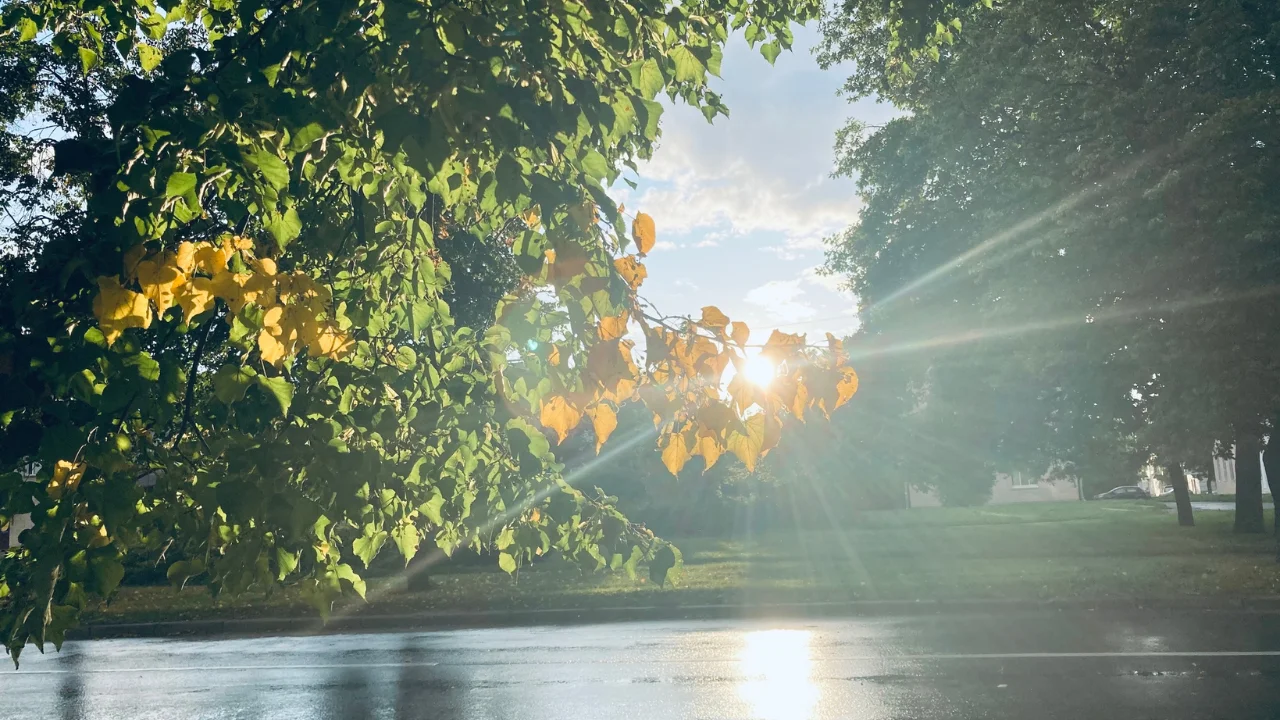 Dam olish kunlari mamlakat bo‘ylab noodatiy iliq ob-havo kutilmoqda