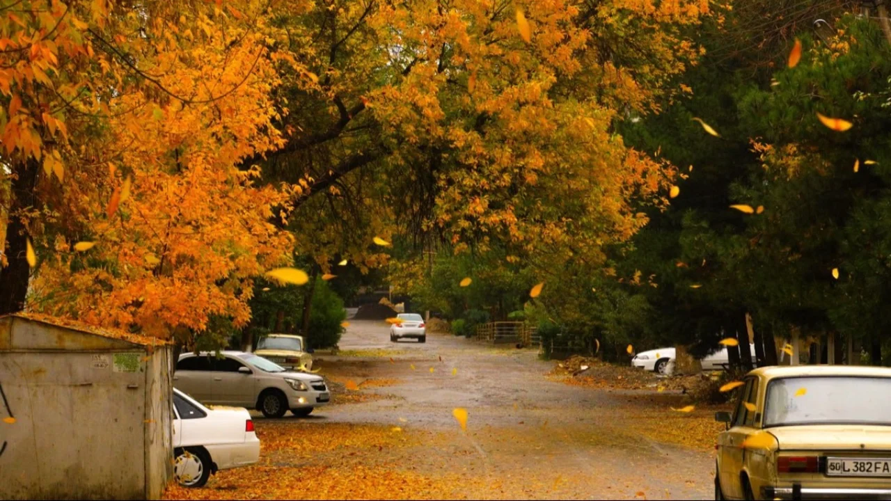 Hafta boshida qanday ob-havo kuzatiladi?