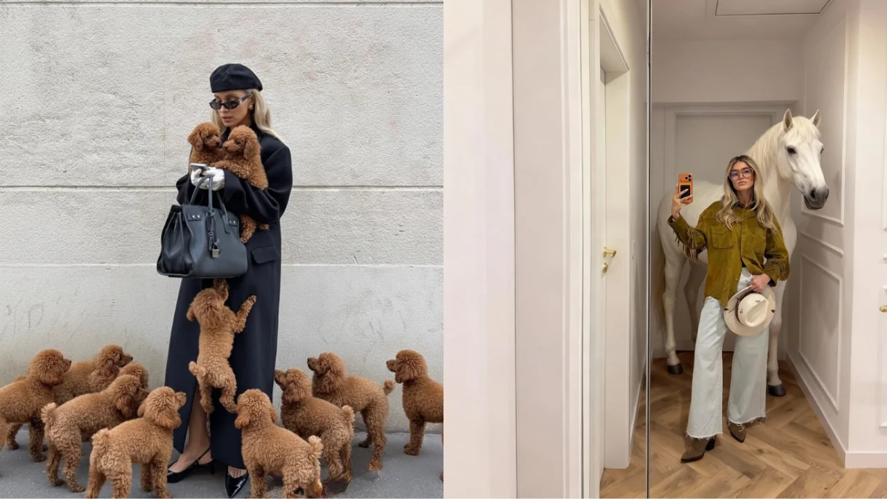 Ijtimoiy tarmoqlar suratlardagi yoqimtoy hayvonlar trendini portlatib yubordi