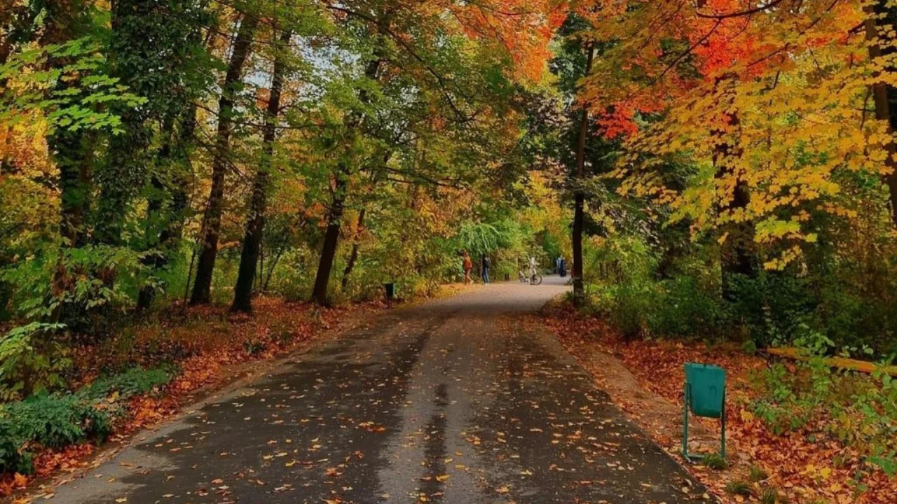 Hafta boshida qanday ob-havo bo‘ladi?