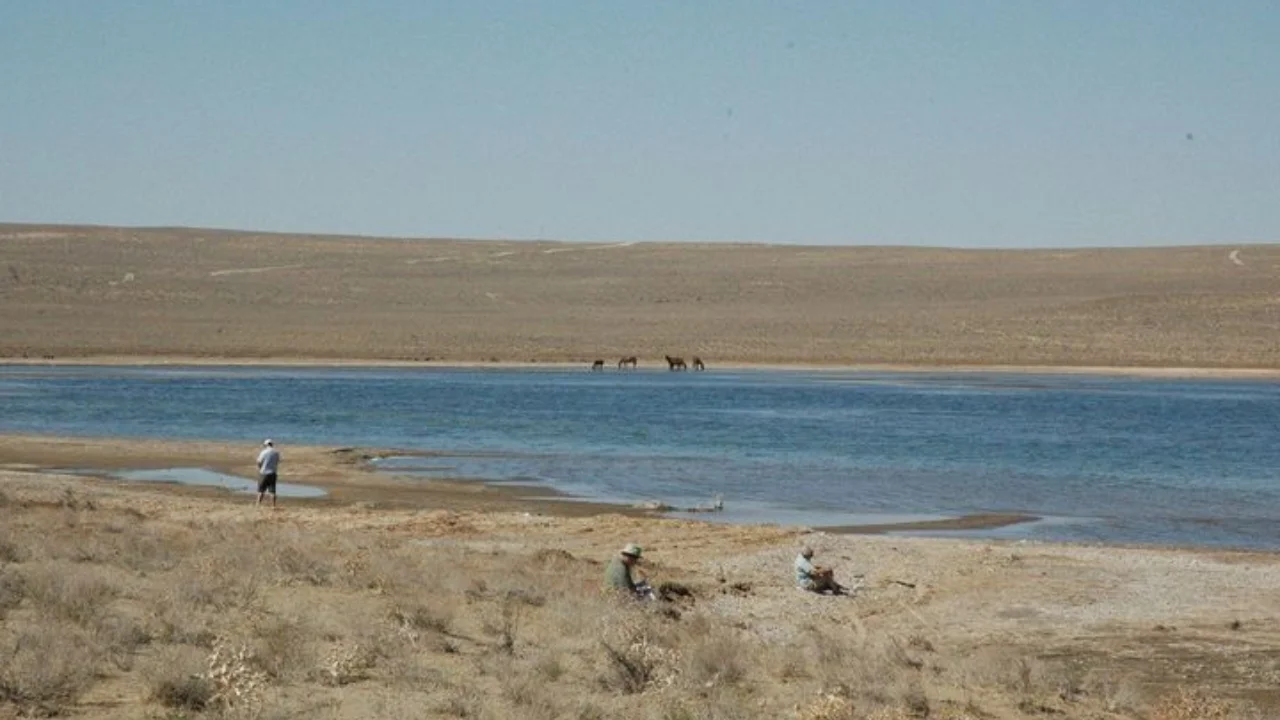 Sibir suvi Orolga yo‘naltiriladimi? Rossiyada tarixiy loyiha muhokamada