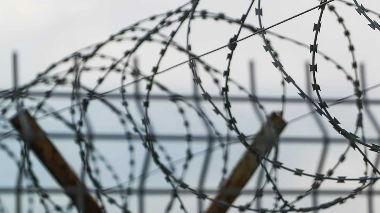 Oʻzbekiston fuqarosi 4 yilga qamaldi