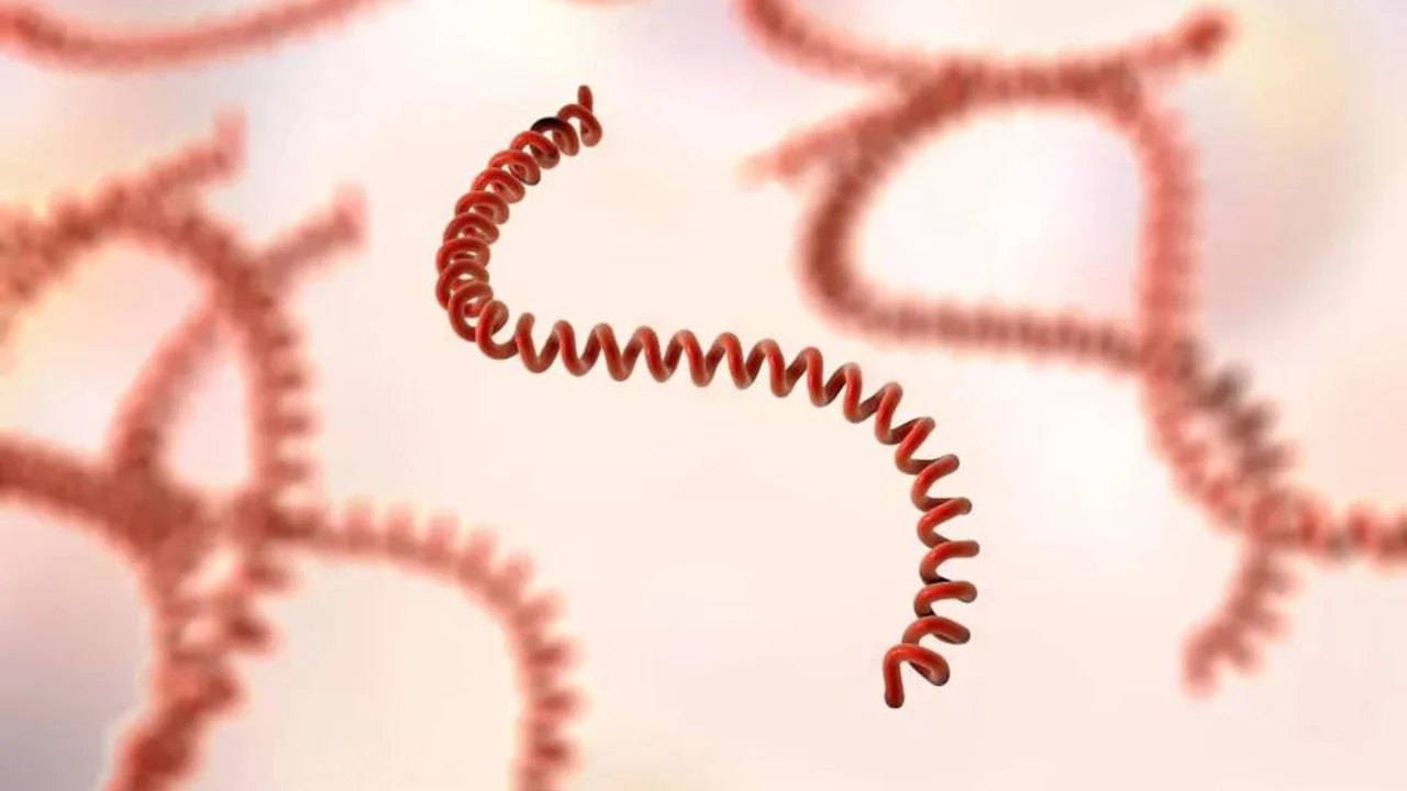 «Melissa» to‘foni ortidan Yamaykada xavfli epidemiya tez kuchaymoqda