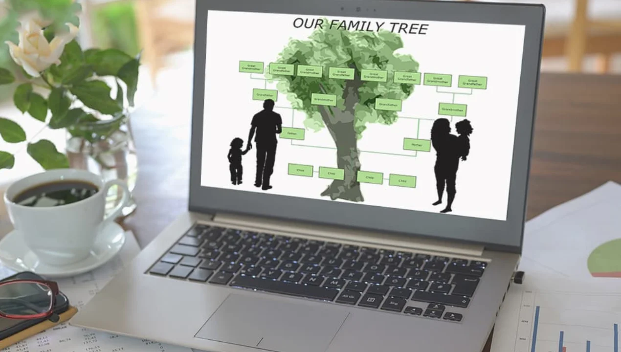 IX asrgacha izlab topish: O‘zbekistonda «Shajara» tizimi qachon ishga tushadi?