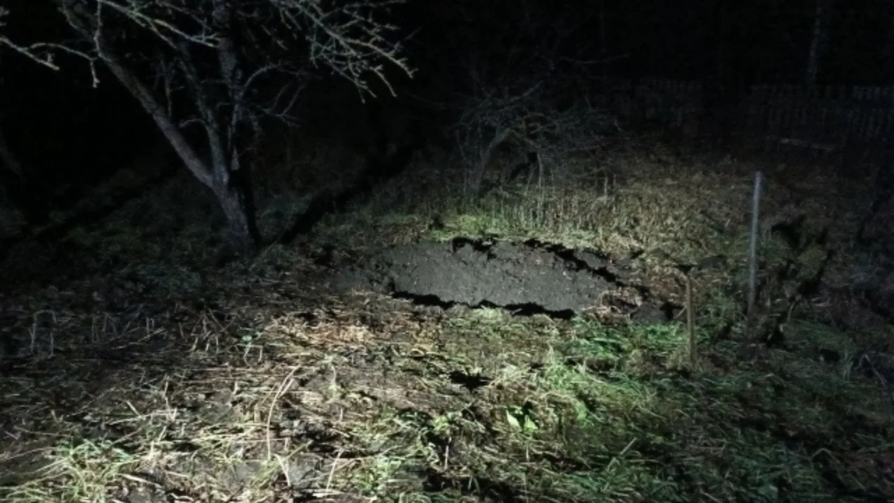 Rossiyada o‘zbek migrantini o‘ldirib daraxt ostiga ko‘mib qo‘ygan ayol ushlandi