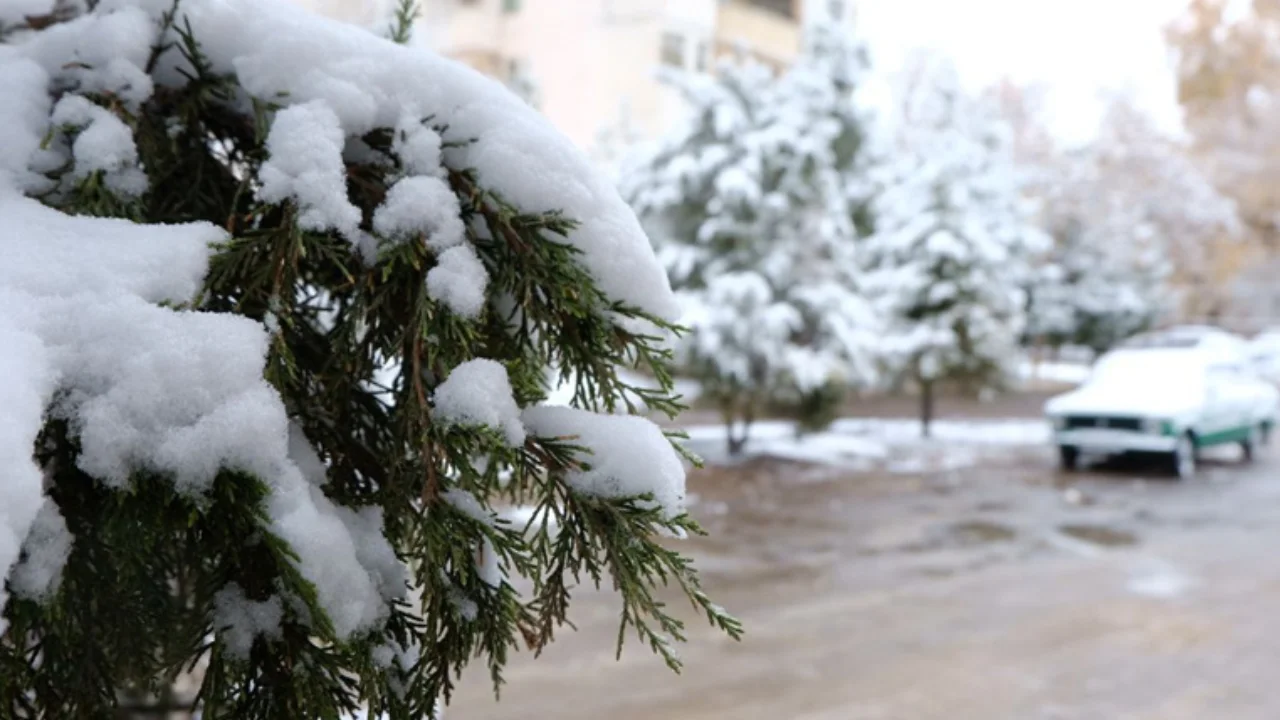 Qishning ilk haftasida qanday ob-havo bo‘ladi?