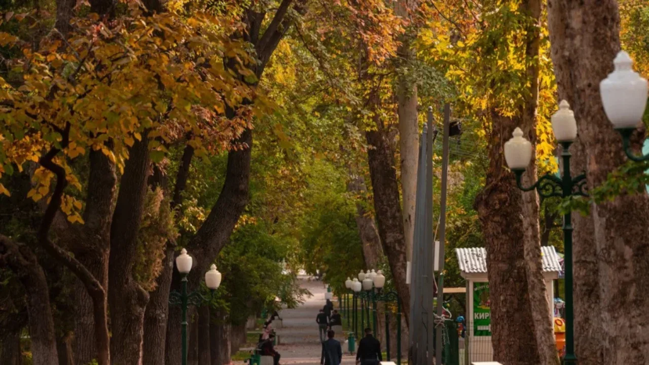 Ertaga mamlakat bo‘ylab havo qanday bo‘ladi?