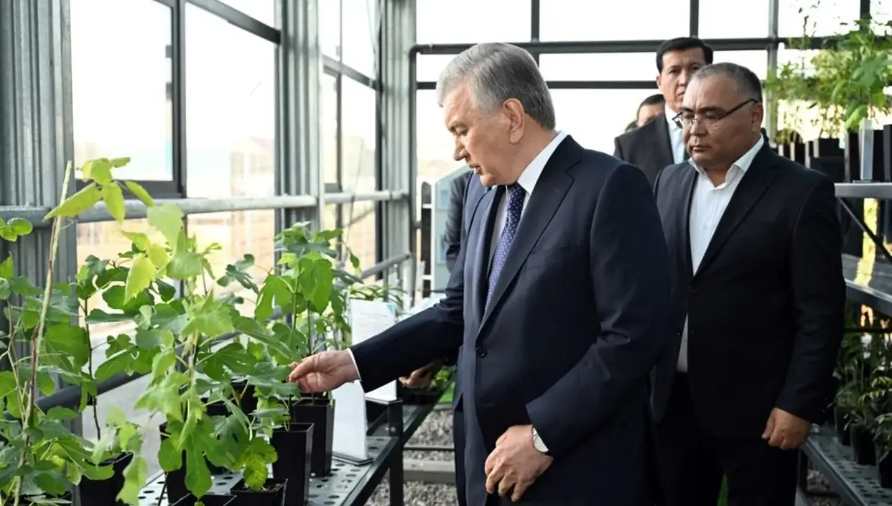 Prezident Jizzaxda qishloq xo‘jaligidagi islohotlar bilan tanishdi