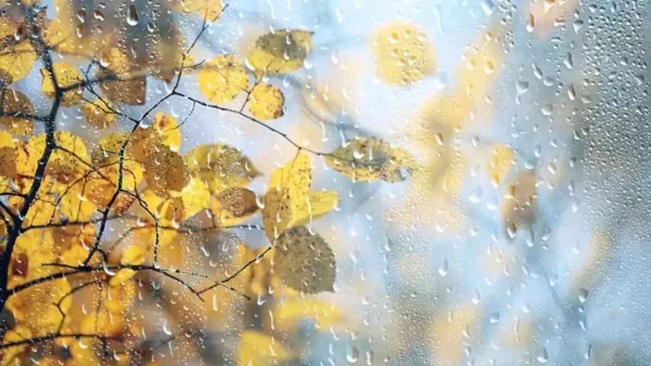 5-dekabrda O‘zbekistonda yomg‘ir yog‘ishi kutilmoqda