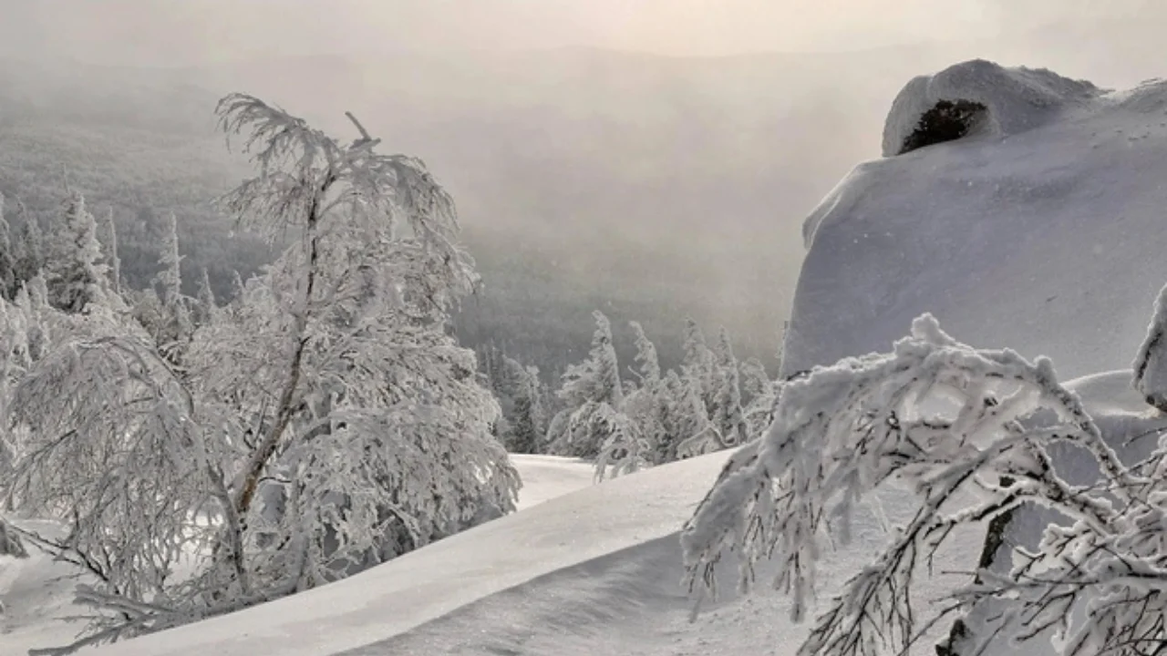 8–10 dekabr uchun O‘zgidromet shoshilinch ogohlantirish bilan chiqdi