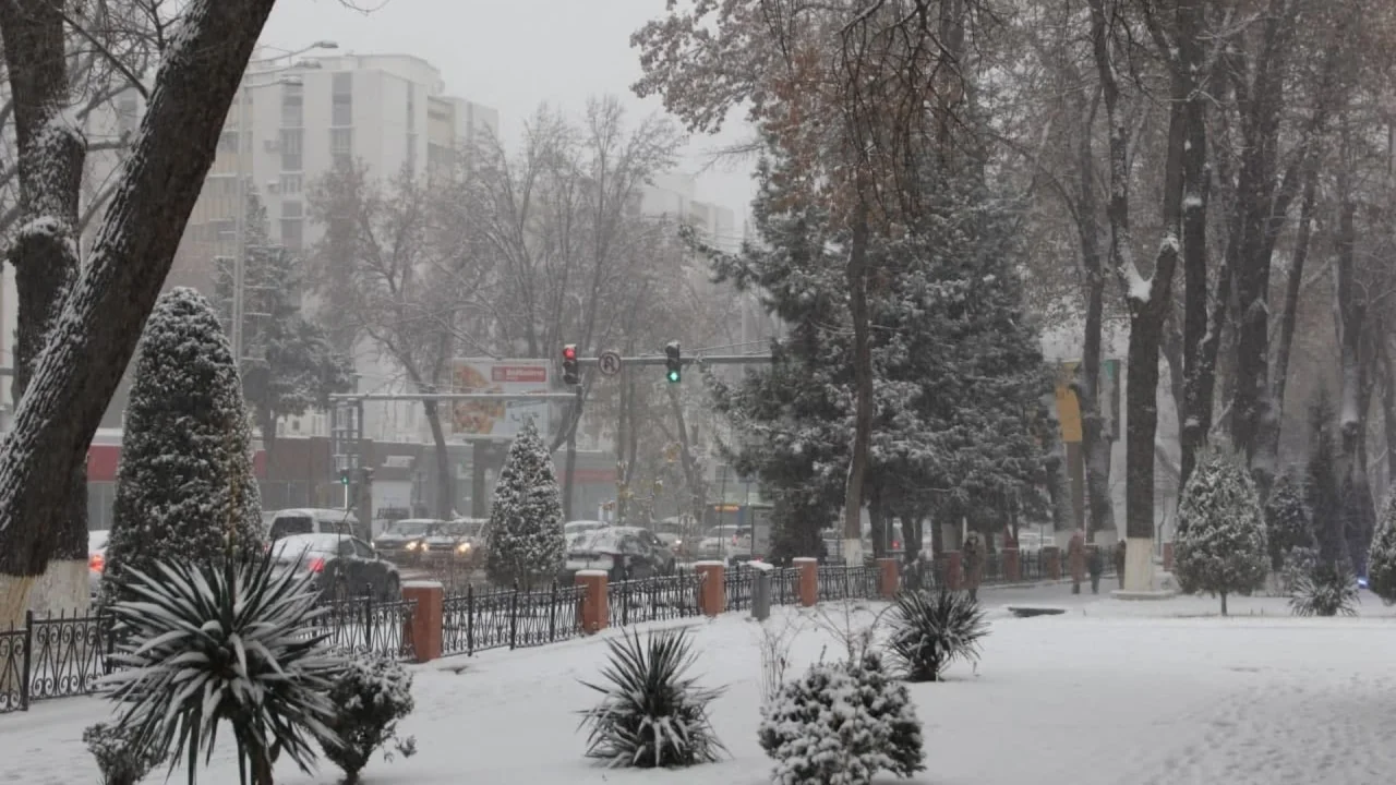 O‘zbekistonga nam va sovuq havo massalari kirib kelmoqda