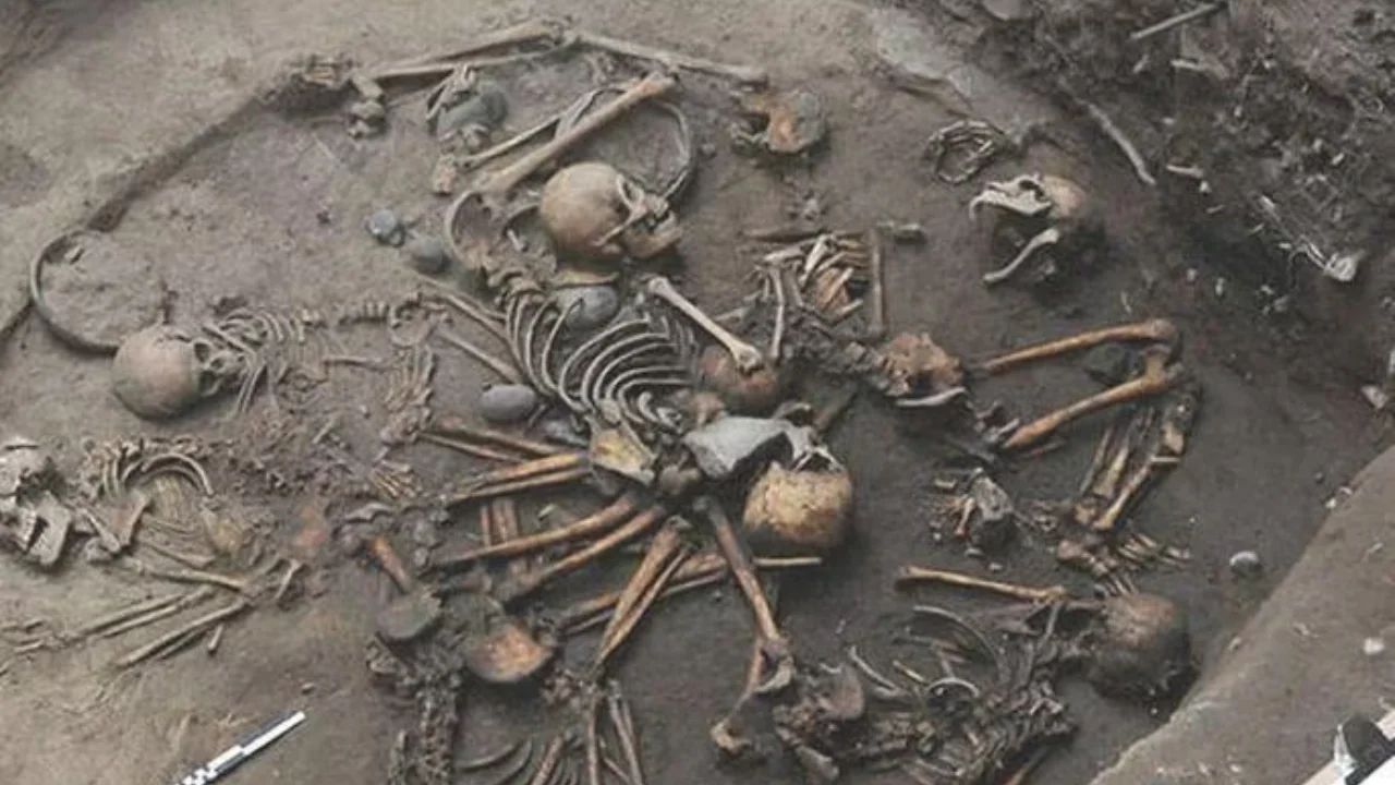 Ozarbayjonda inson skeletlari topildi