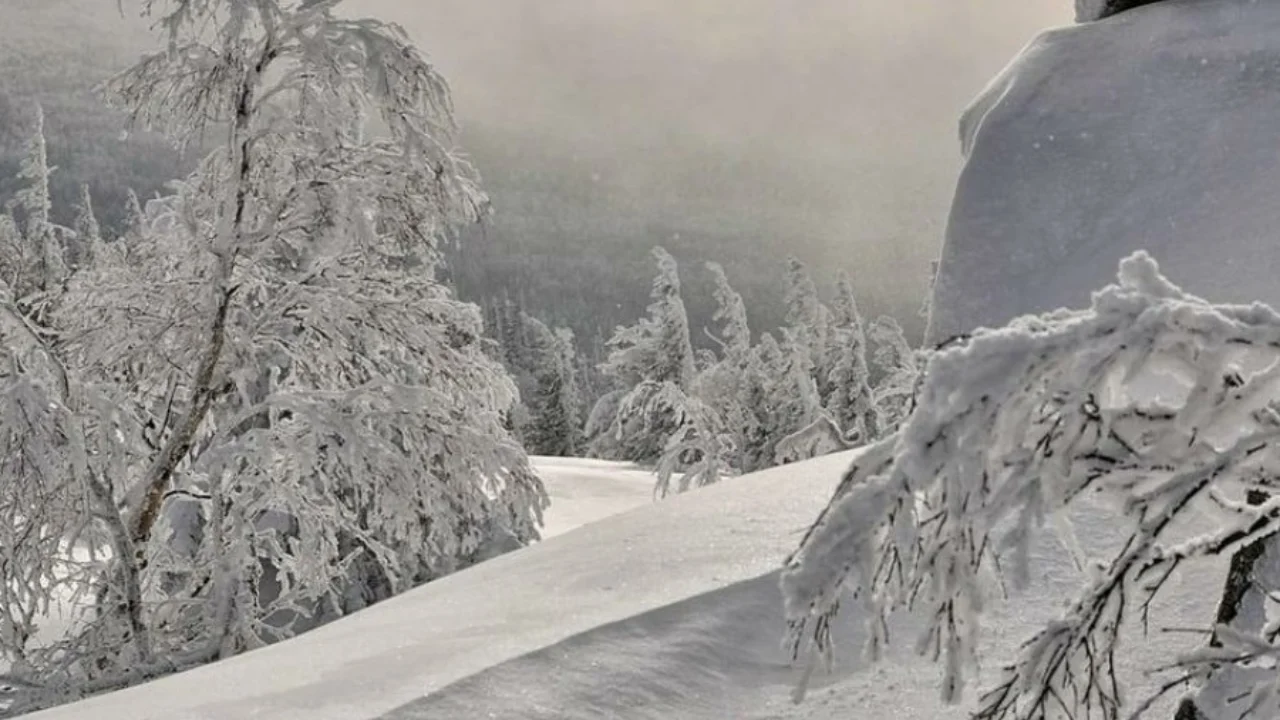 O‘zgidromet 10-12 dekabr uchun shoshilinch ogohlantirish bilan chiqdi